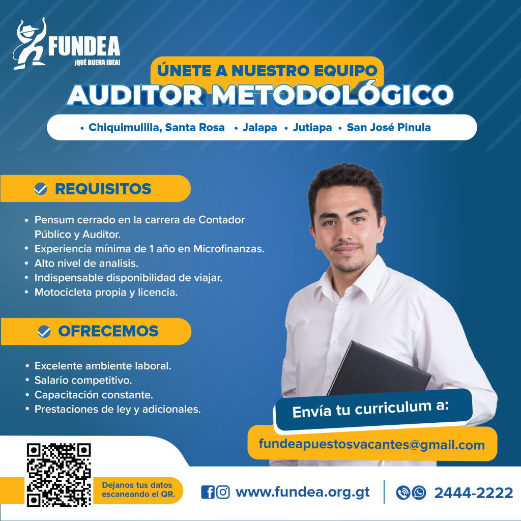Auditor Metodológico - Región VI